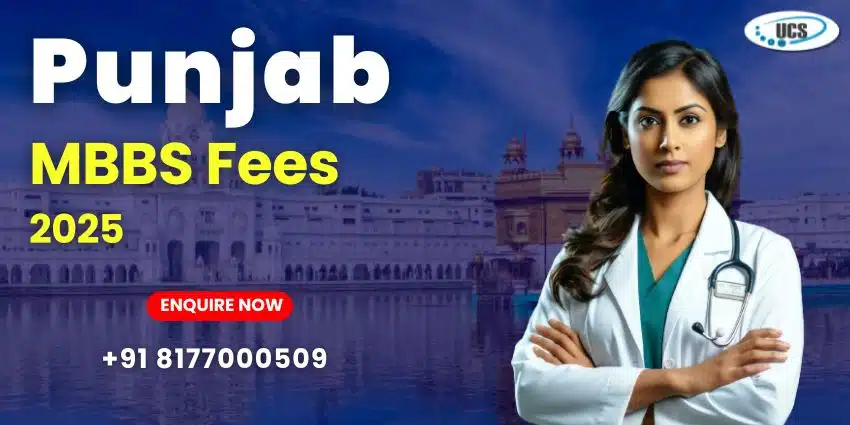 Punjab MBBS Fees